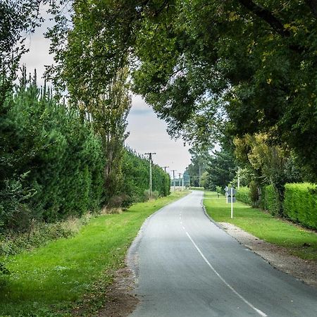 Mount Thomas Road B&B Rangiora Exterior photo